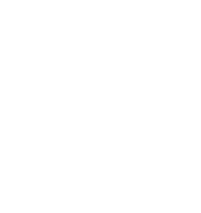 animaparicion optimizado